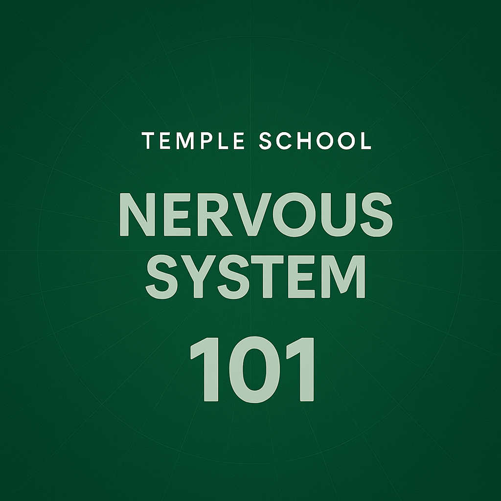 Nervous System 101 - A How-To Activation Guide