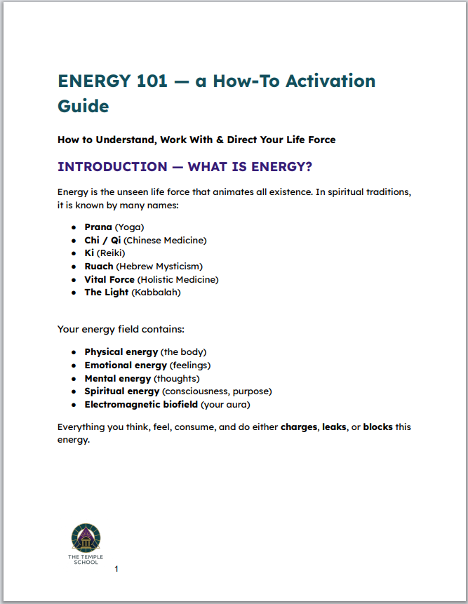 Energy 101 - A How-To Activation Guide